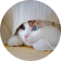 张总